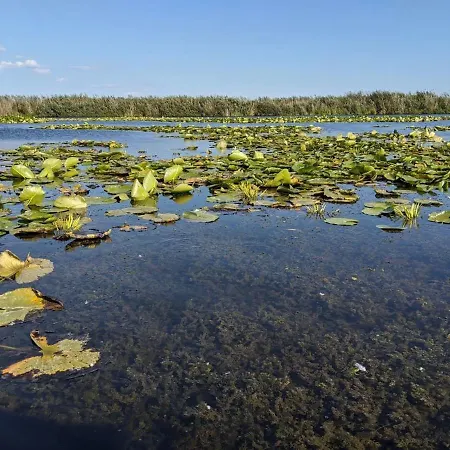 Ботель Plutitor Egreta1 *