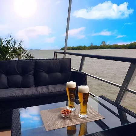 Plutitor Egreta1 * Сфынту-Георге