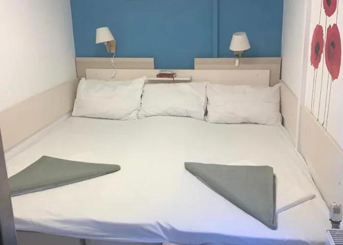 Plutitor Egreta1 Sepsiszentgyörgy