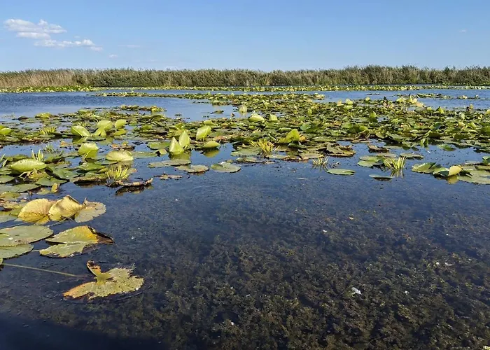 Tekne Plutitor Egreta1 *