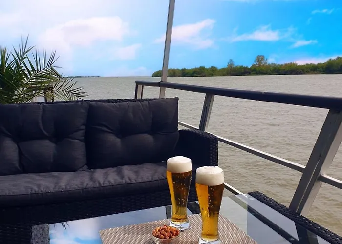 Plutitor Egreta1 * Sfântu Gheorghe